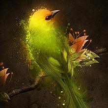 网页攻击器教程