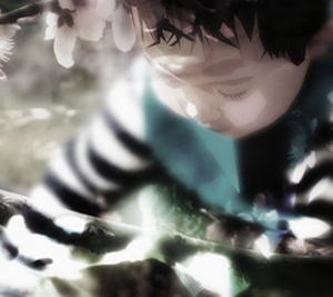 服务器攻击软件